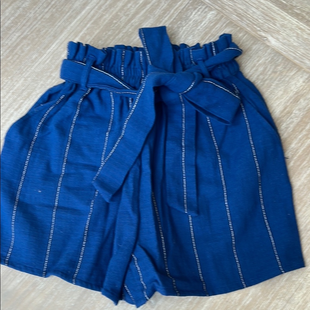 Billabong Blue Striped Women's Shorts